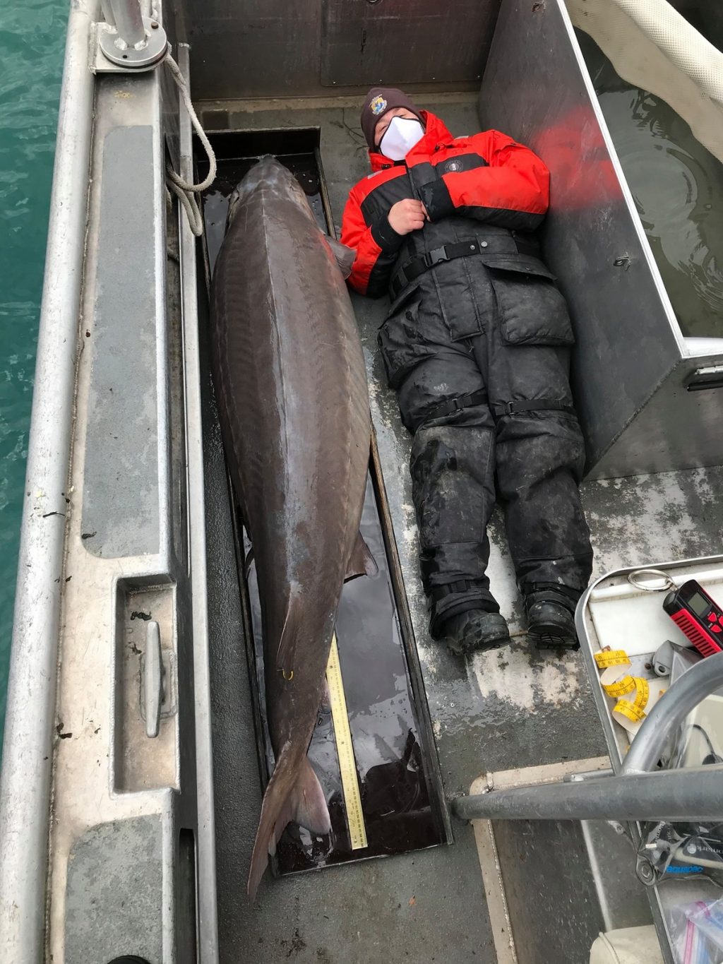 109 kg of "River Monster" hunting in the USA;  Fish may be more than 100 years old  Scientist