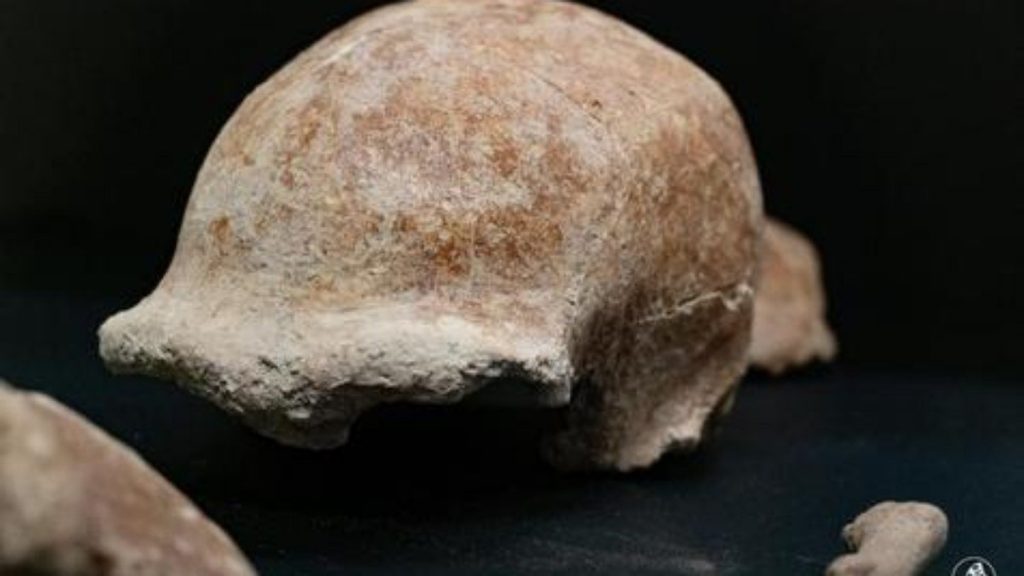 Fossils of 9 Neanderthals found by archaeologists in a cave in Italy |  Scientist