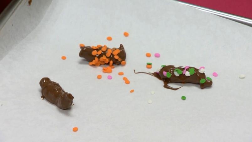 Chocolate covered cicadas are sold at a candy store in the United States