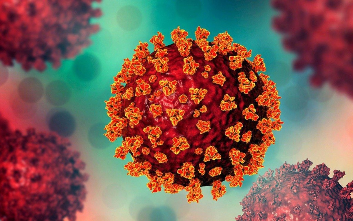 Vietnam discovers a new type of Covid-19 | Vietnam discovers a new type of Covid-19 |  The world and science