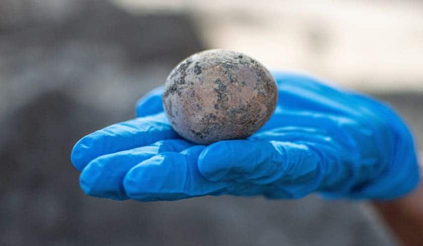 Archaeologists crack an egg that was intact 1,000 years ago