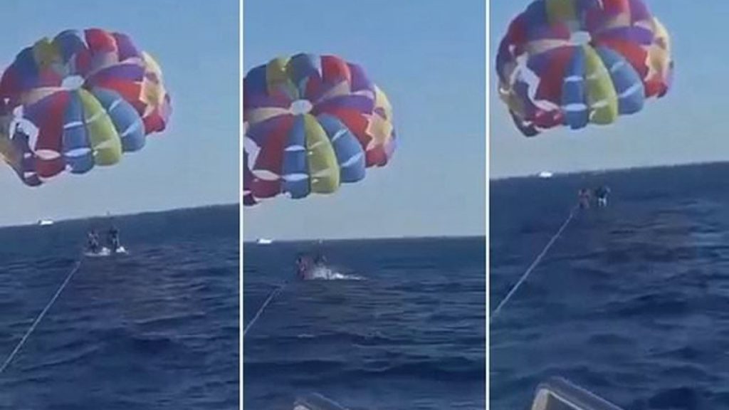 Video: A shark kicks a man's foot with a parachute after jumping out of the Red Sea |  Unusual world
