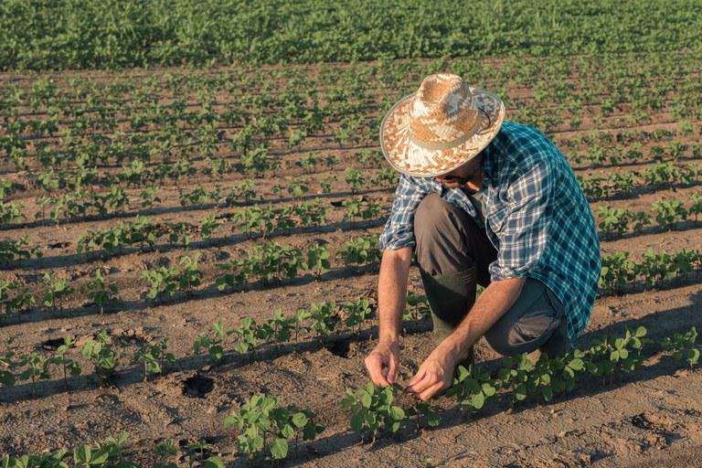 Fetag charges equity at interest rates for the next harvest plan