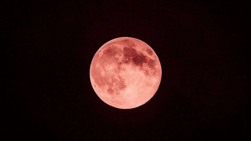 "Moon Strawberry" will take place on Thursday (24);  Check out the tips for the last supermoon in 2021 - science