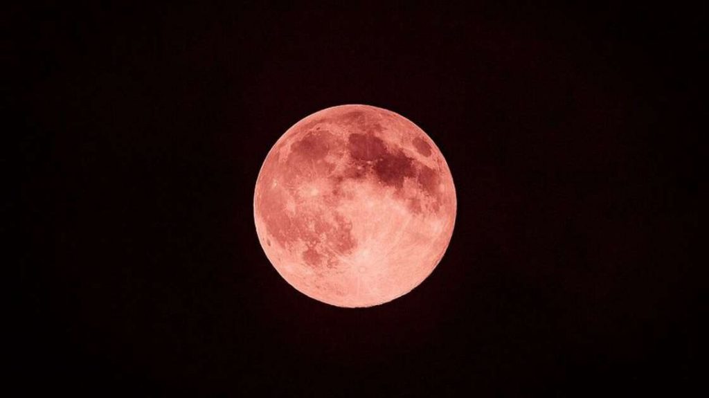 “Moon Strawberry” will take place on Thursday (24);  Check out the tips for the last supermoon in 2021 – science