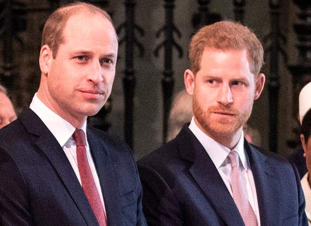 Prince Harry and Prince William will hold a private meeting after the unveiling of the statue