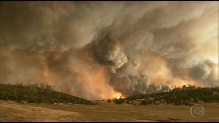 The International Energy Agency publishes a guide containing urgent measures to curb global warming