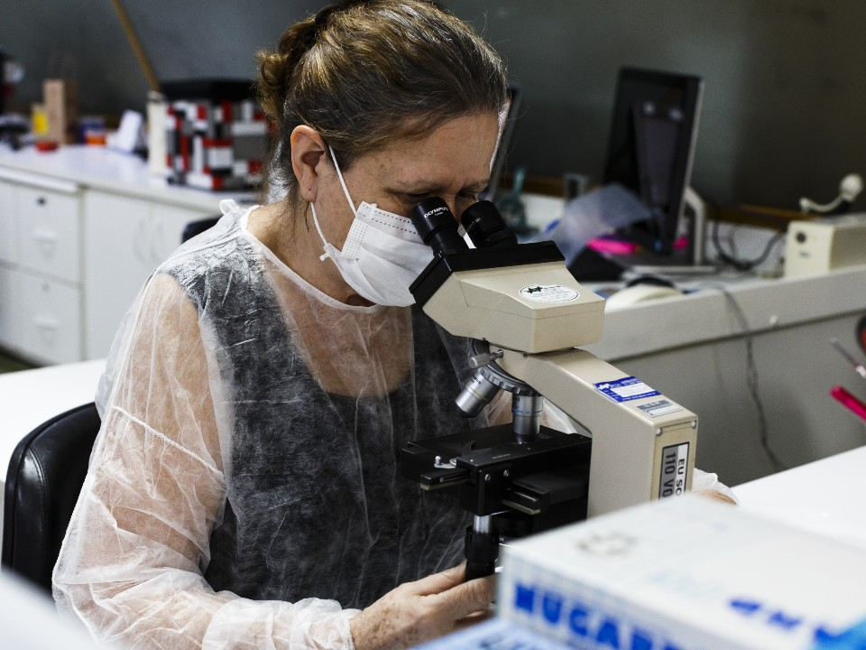 With official funding cut off, researchers struggled to study science in Brazil