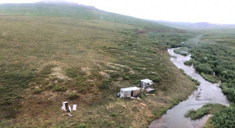 Man rescued after resisting bear attacks for a week – News