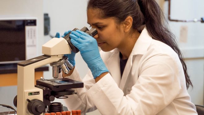 The new faces and stages of science in the epidemic