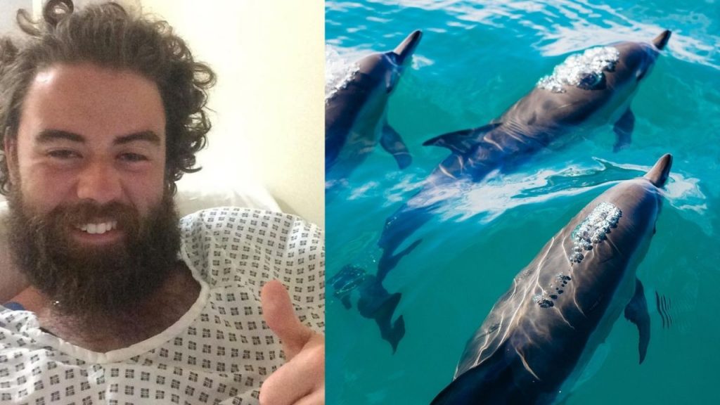 After 12 hours at sea, a group of Irish dolphins rescued: ‘It was definitely an experience’