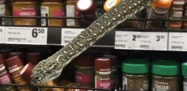 3 meter high snake surprises customers by appearing on the shelf;  Watch