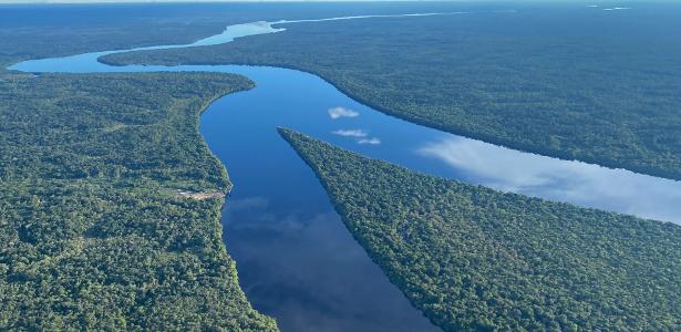 Global Commission says - 08/05/2021 that a large-scale environmental shift threatens the Amazon