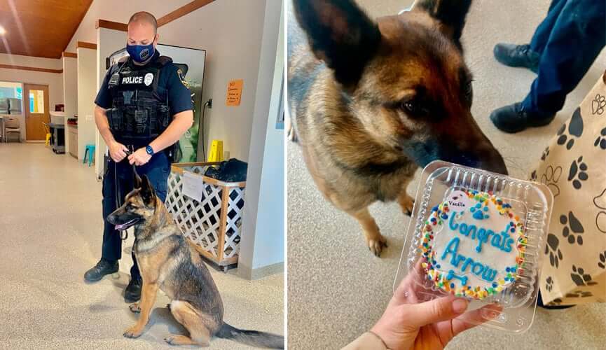 A puppy is rescued from a stray animal shelter and becomes a police dog