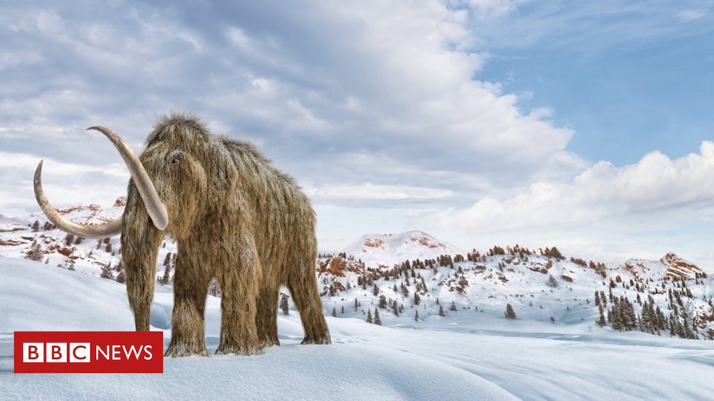 Is it possible to 'revive' mammoths to fight climate change?