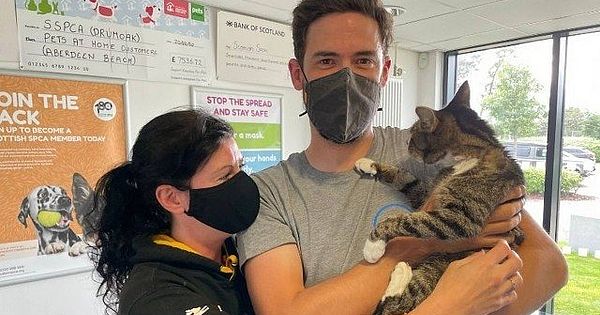 Owners find a pet cat that has been missing for ten years