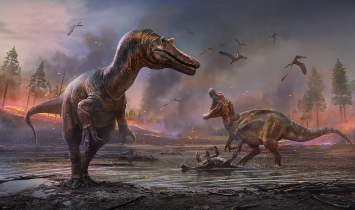 Mysterious fossils reveal two new species of spinosaur in the UK – science