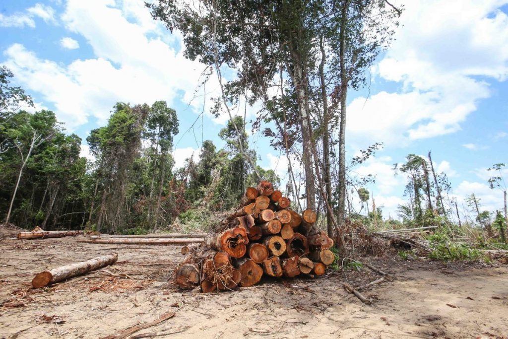 The British ambassador says COP26 is waiting for a plan to clear deforestation in Brazil