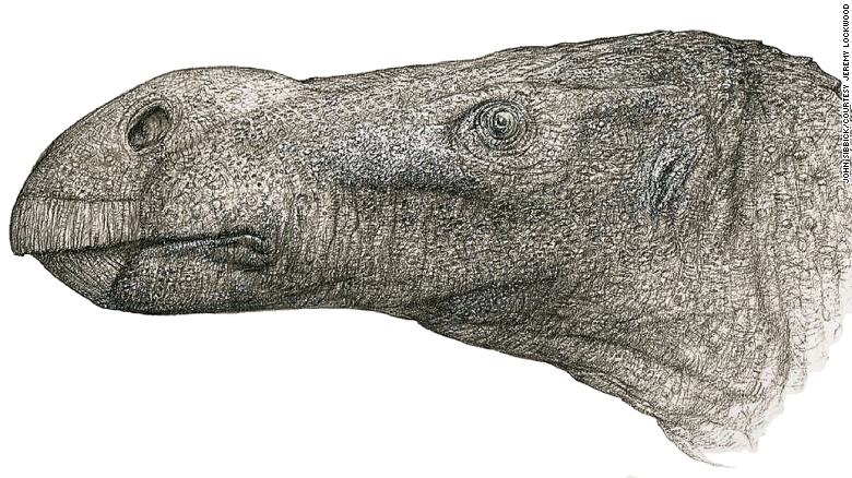 Dinosaur species were discovered decades after excavating their bones