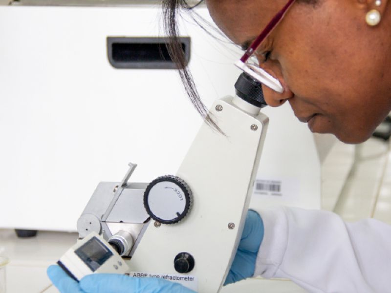 Here It Happens – The Futuras Cientistas Program Encourages Student Engagement in Science and Technology
