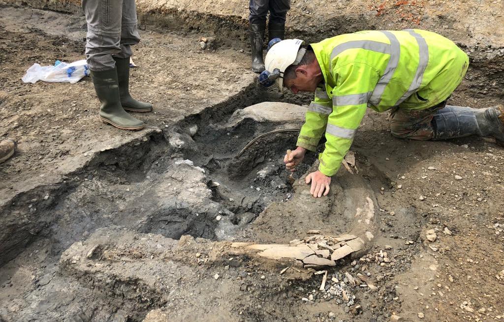 The "tomb" of Ice Age mammoths was discovered in the UK (and there is a documentary along the way)