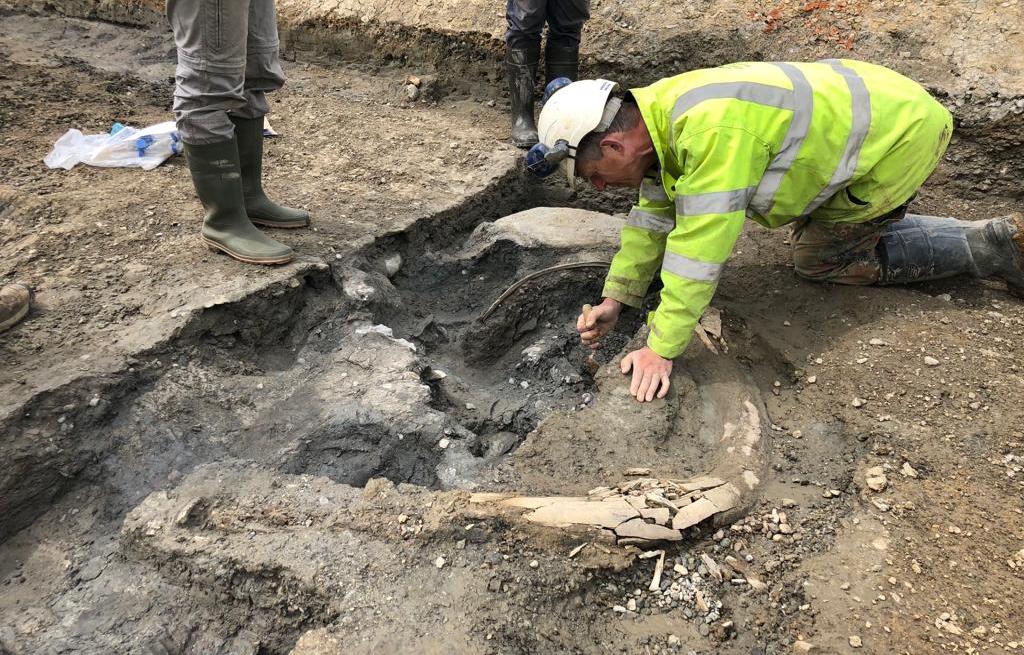 The “tomb” of Ice Age mammoths was discovered in the UK (and there is a documentary along the way)
