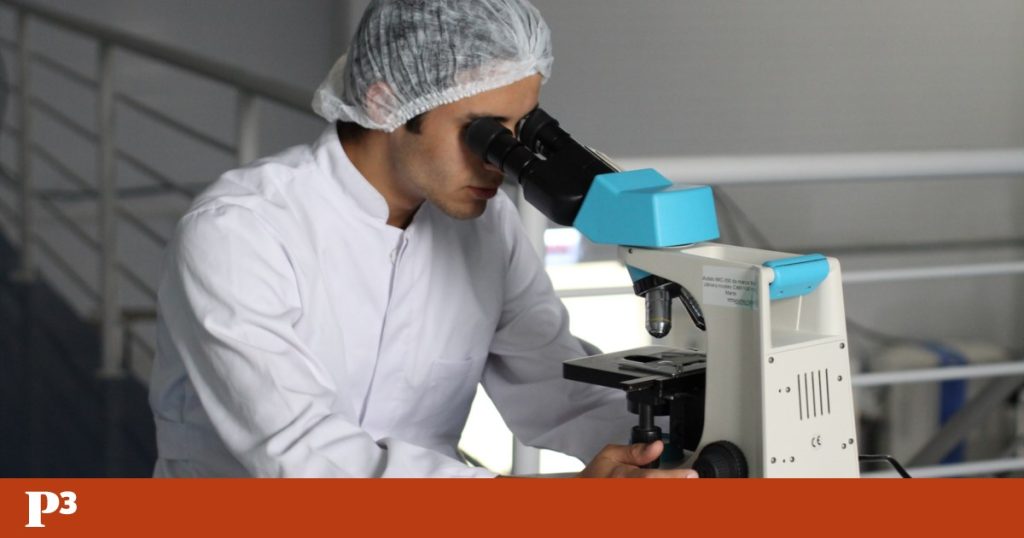 FAZ Ciência Prize has 35,000 euros for research projects in oncology |  Competition