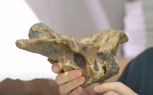 A Study of Fossils Influenced by Colonial Prejudice – Revista Galileu