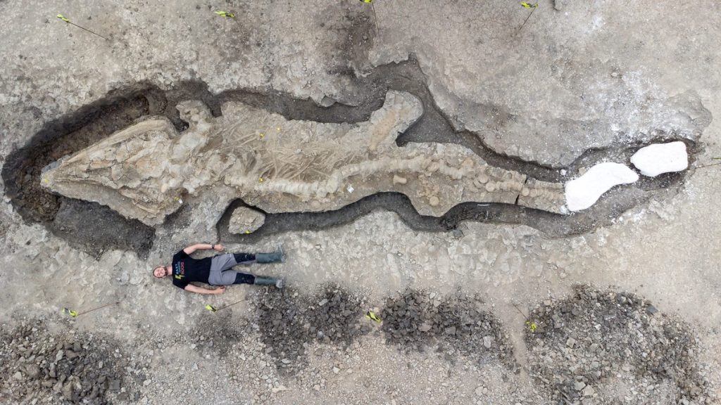 Drone footage reveals giant 'Sea Dragon' fossil found in UK |  The world