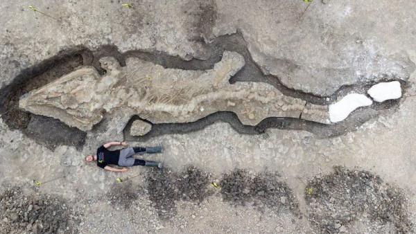 Drone footage shows a giant "sea dragon" fossil recently discovered in England