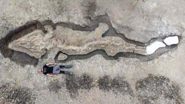Drone footage shows a giant “sea dragon” fossil recently discovered in England