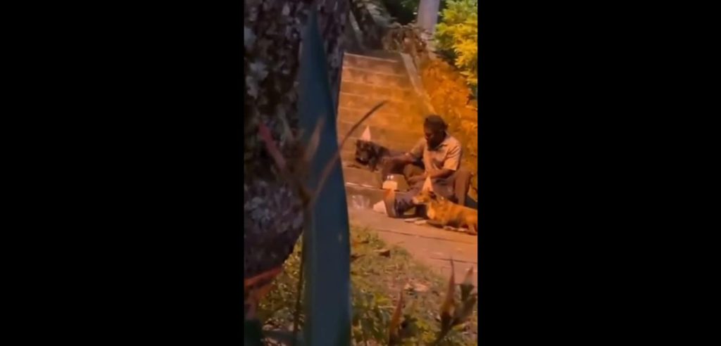 Homeless man sings happy birthday with dogs, shares cake and gets emotional (video)