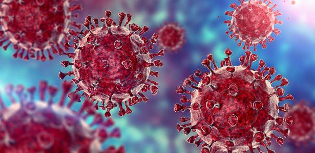 Researchers have found a new type of Covid virus called Ihu