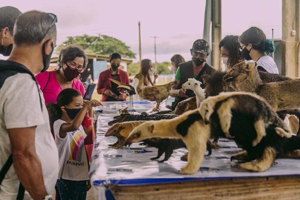 'Darwin's Day' celebrates the science and restoration of Campos Novos Farm in Cabo Frio