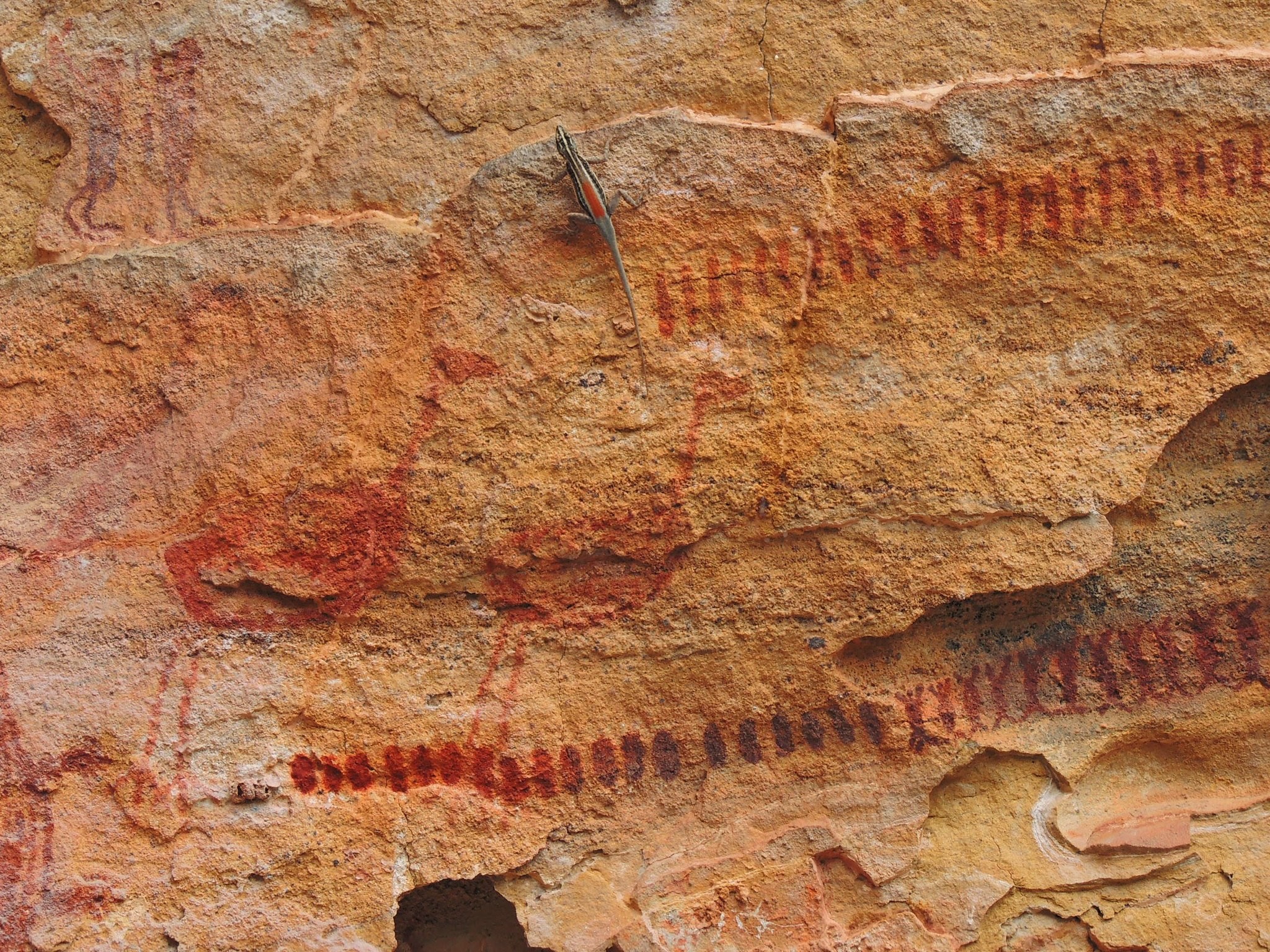 Rock painting in Serra da Capivara National Park (Photo: Wikimedia Commons)
