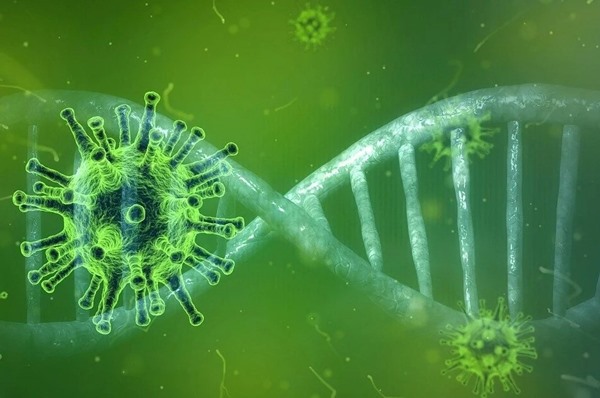In the color illustration, different viruses are represented