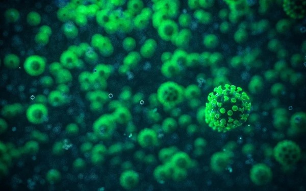 In the color illustration, different viruses are represented