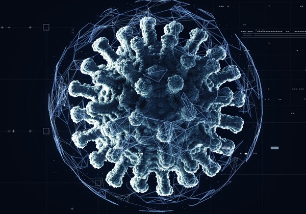 In the color illustration, different viruses are represented