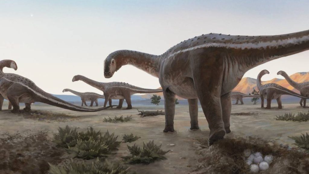 The first dinosaur nest was found in Brazil in Uberaba (MG) |  to know