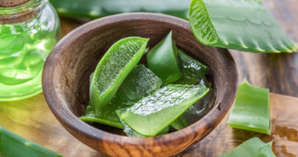 After all, what is an aloe vera?  See how you can benefit from it