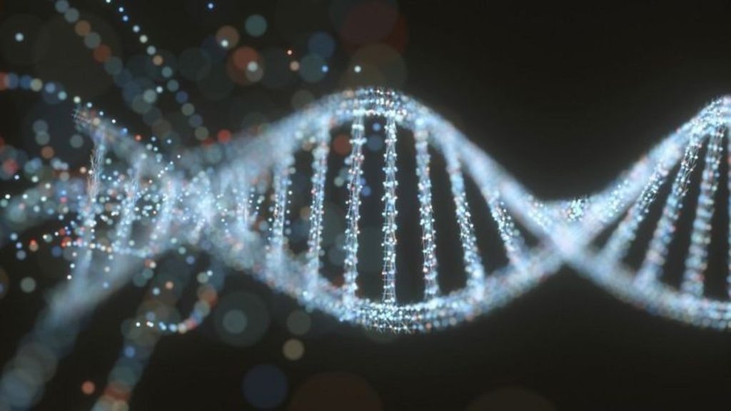 Scientists publish the first complete human genome |  to know