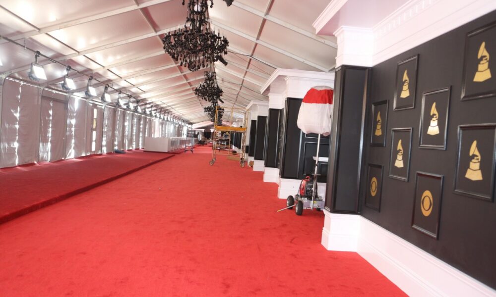 red carpet grammy