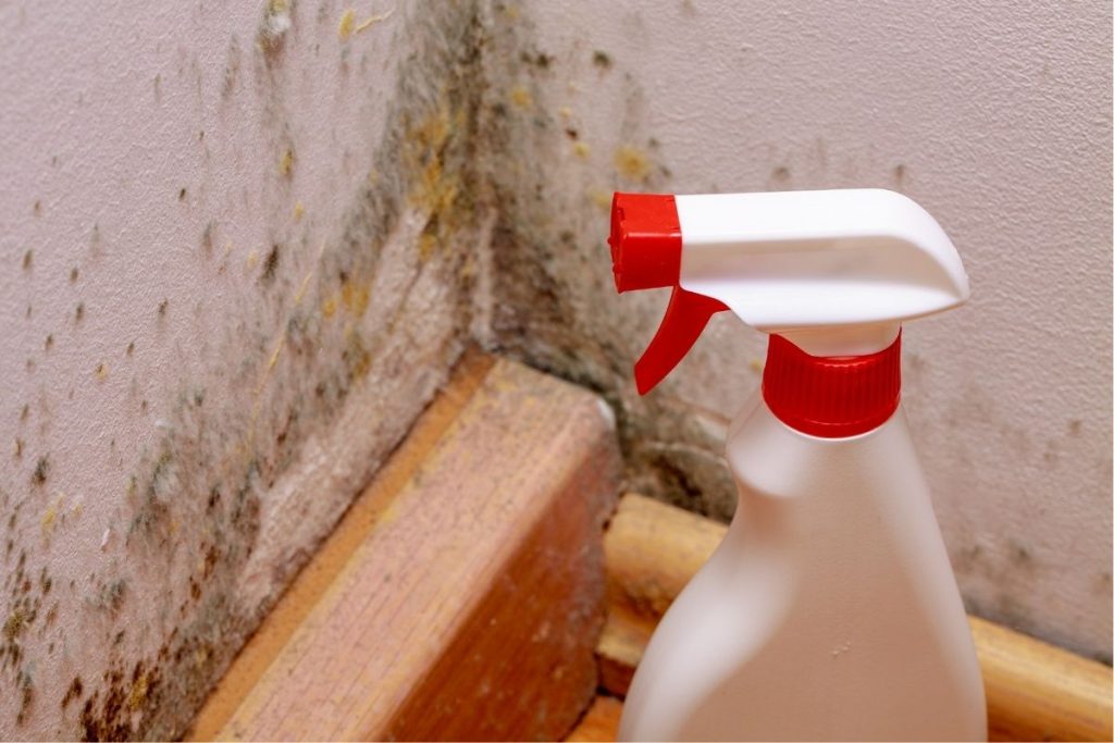How to remove mold from white walls: 3 homemade solutions to get rid of them quickly