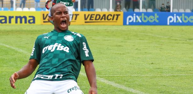 Palmeiras has reached an agreement with Andric for his first professional contract
