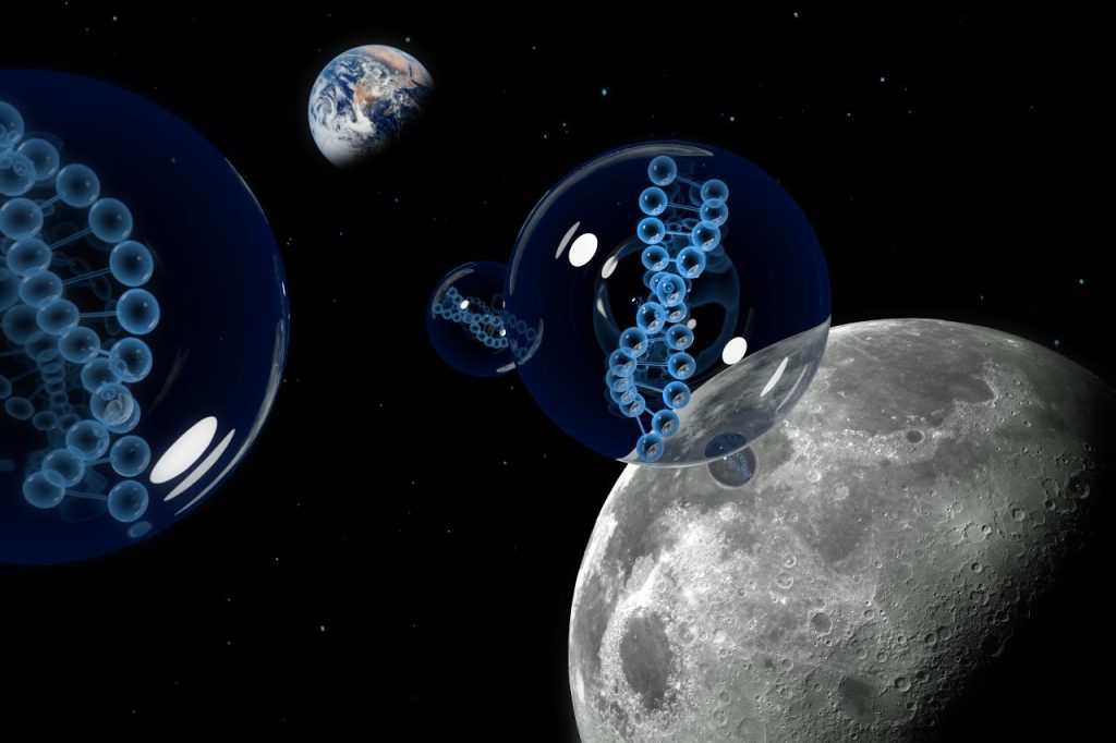 Scientists find DNA bases in meteorites