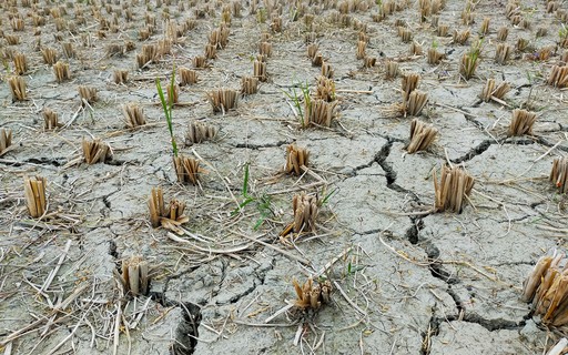 Italy prepares to declare a state of emergency due to drought