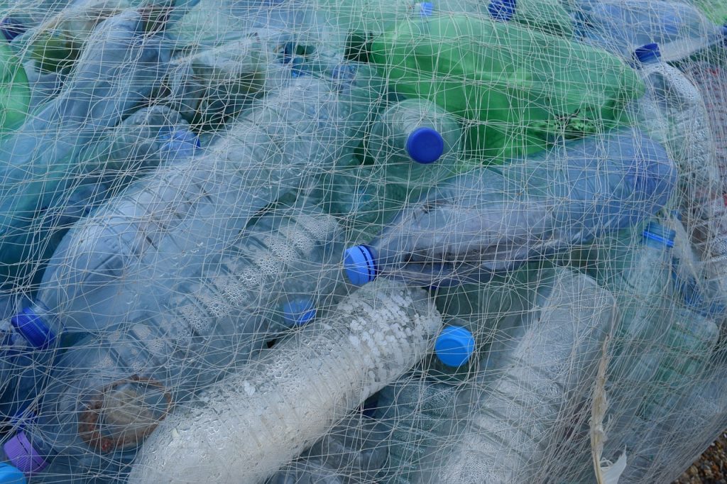 The Science Café on Plastic Pollution completes a course dedicated to the sea