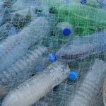 The Science Café on Plastic Pollution completes a course dedicated to the sea