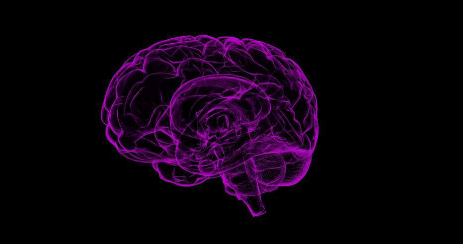 How the brain fights infection
