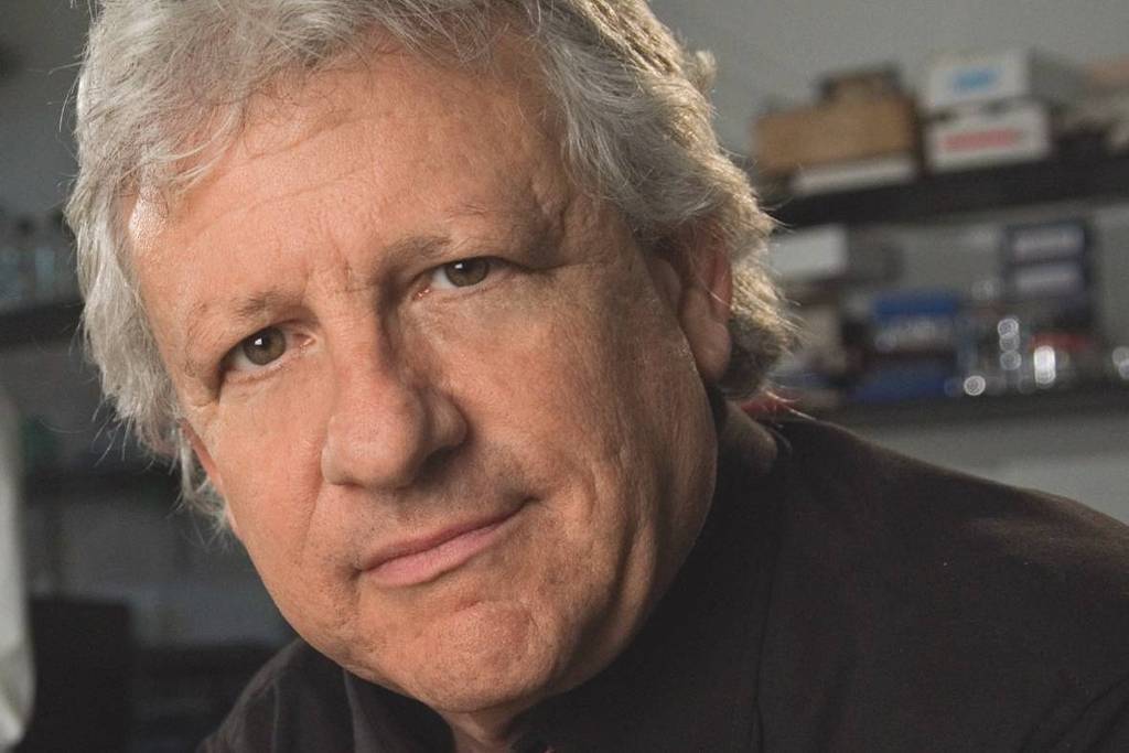 The neuroscientist says that ignorance is fundamental to science – 06/22/2022 – Science